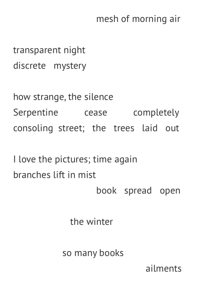 mesh of morning air/ transparent night/ discrete mystery/ how strange, the silence/ Serpentine cease completely/ consoling street; the trees laid out / I love the pictures; time again/ branches lift in mist/ book spread open/ the winter/ so many books/ ailments