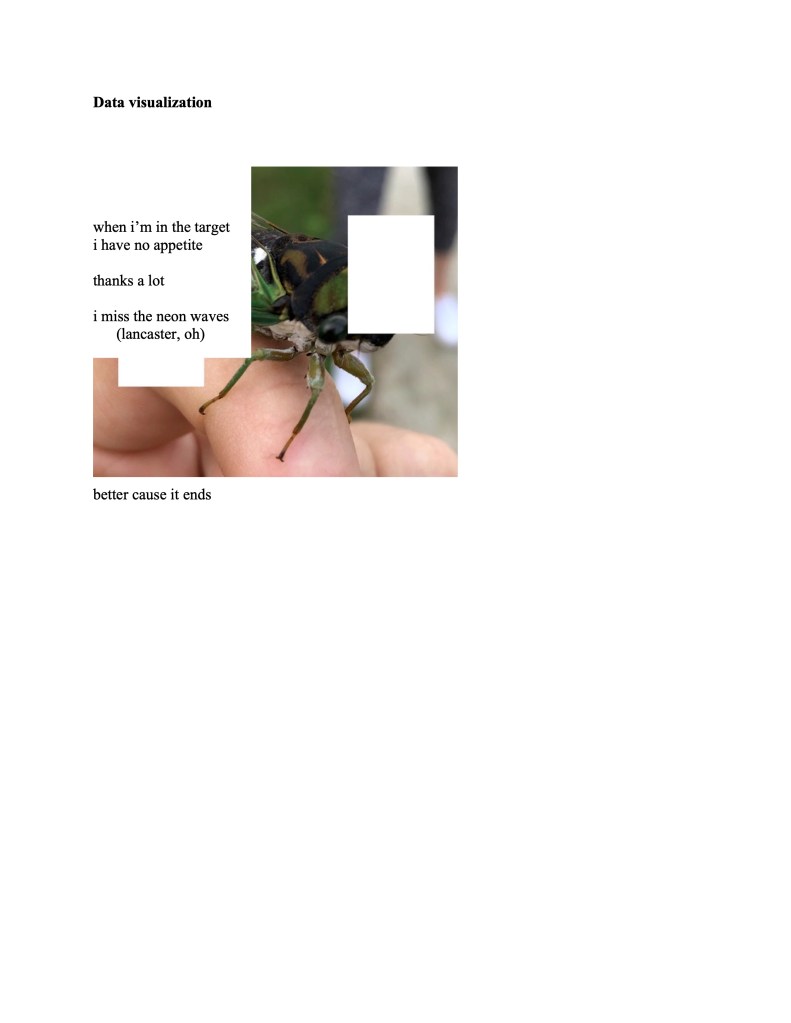 The following text is placed around an image of a dragonfly through missing white squares.
Data visualisation
when i'm the target
i have no appetite
thanks a lot
i miss the neon waves
(lancaster, oh)
better cause it ends