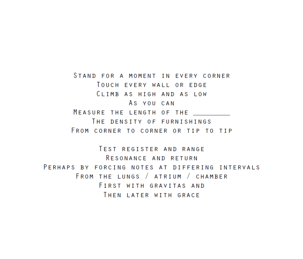 Stand for a moment in every corner
Touch every wall or edge
Climb as high and as low
As you can
Measure the length of the ________
The density of furnishings
From corner to corner or tip to tip
Test register and range
Resonance and return
Perhaps by forcing notes at differing intervals
From the lungs / atrium / chamber
First with gravitas and
Then later with grace
