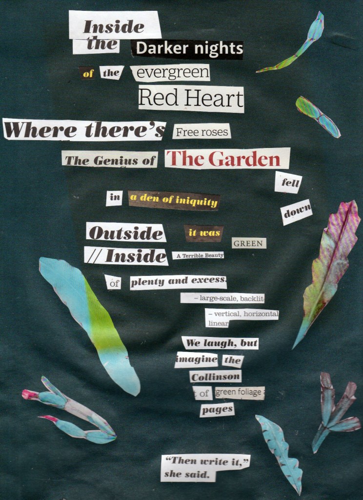 Inside
the Darker nights
of the evergreen
Red Heart
Where there’s Free roses
The Genius of The Garden
fell
in a den of iniquity 	down
Outside it was GREEN
// Inside A Terrible Beauty
of plenty and excess
- large-scale, backlit
- vertical, horizontal, linear
We laugh, but
imagine the 
Collinson
of green foliage
pages

“Then write it,”
she said.
